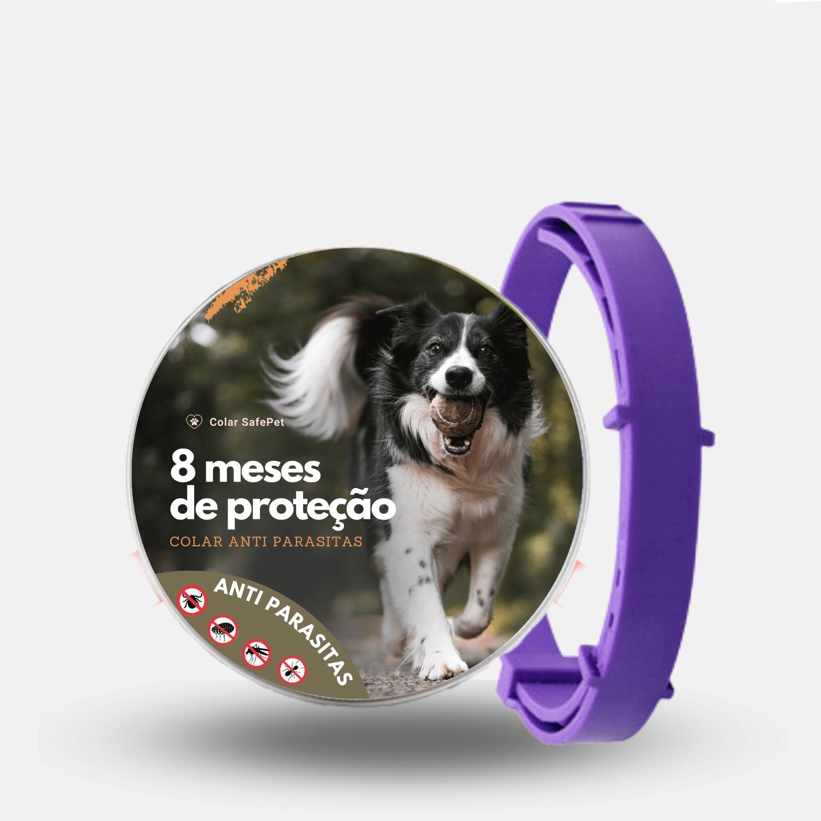 Colar Anti Pulgas e Carrapatos - Direct Ofertas