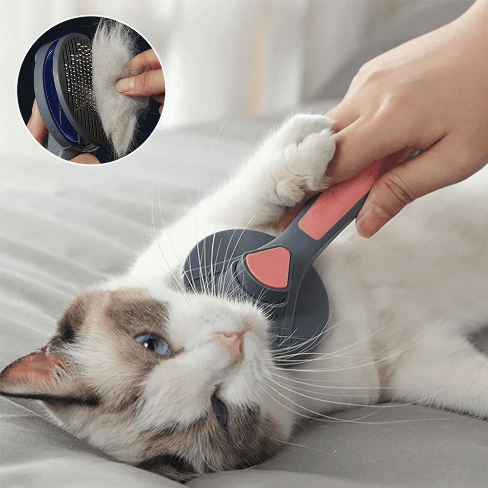 Escova Removedora de Pelos para Pets - Direct Ofertas