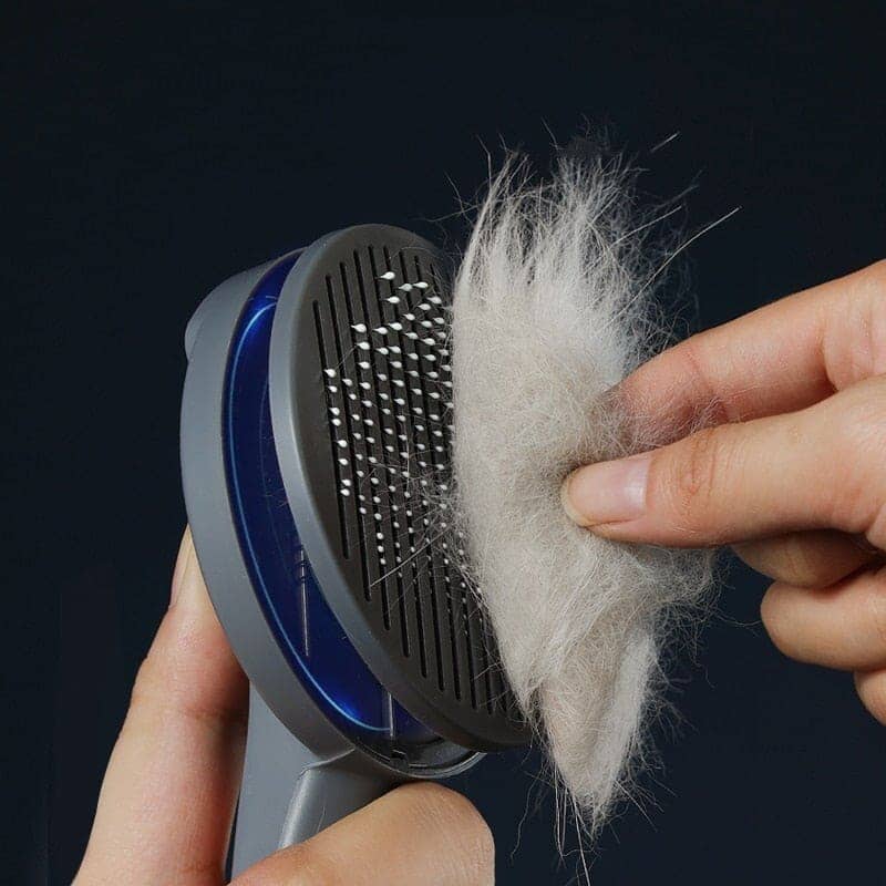 Escova Removedora de Pelos para Pets - Direct Ofertas