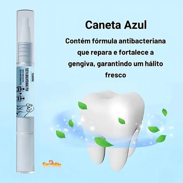 Caneta Dental para Pets – Limpa dentes amarelados, previne o tártaro e elimina o mau hálito - Direct Ofertas