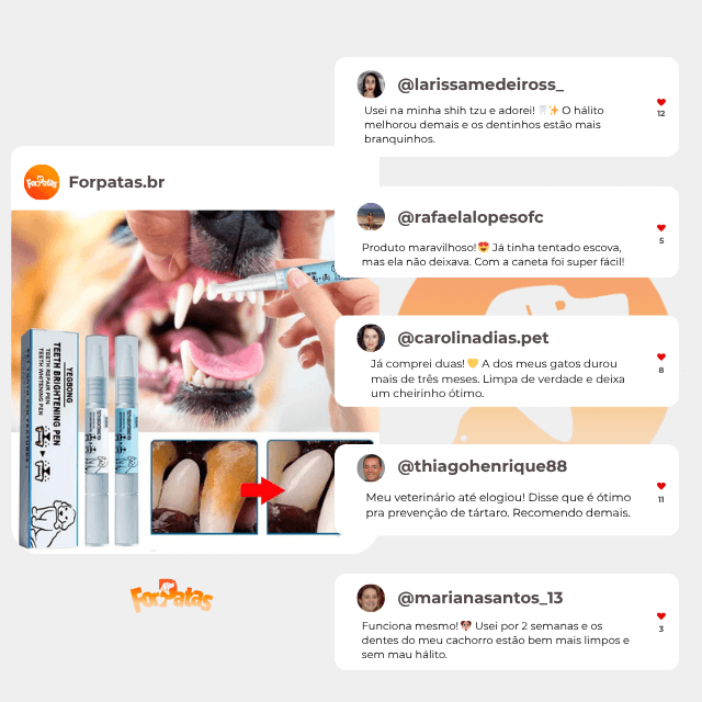 Caneta Dental para Pets – Limpa dentes amarelados, previne o tártaro e elimina o mau hálito - Direct Ofertas