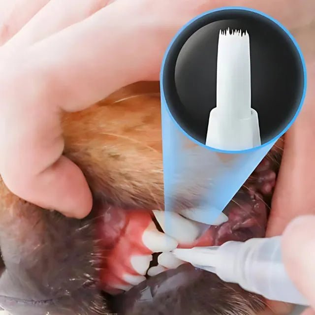 Caneta Dental para Pets – Limpa dentes amarelados, previne o tártaro e elimina o mau hálito - Direct Ofertas