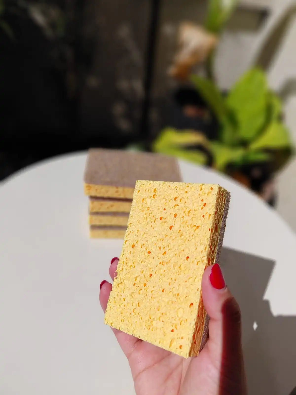 Kit Raiz Eco - 10 Esponjas Biodegradáveis - Direct Ofertas