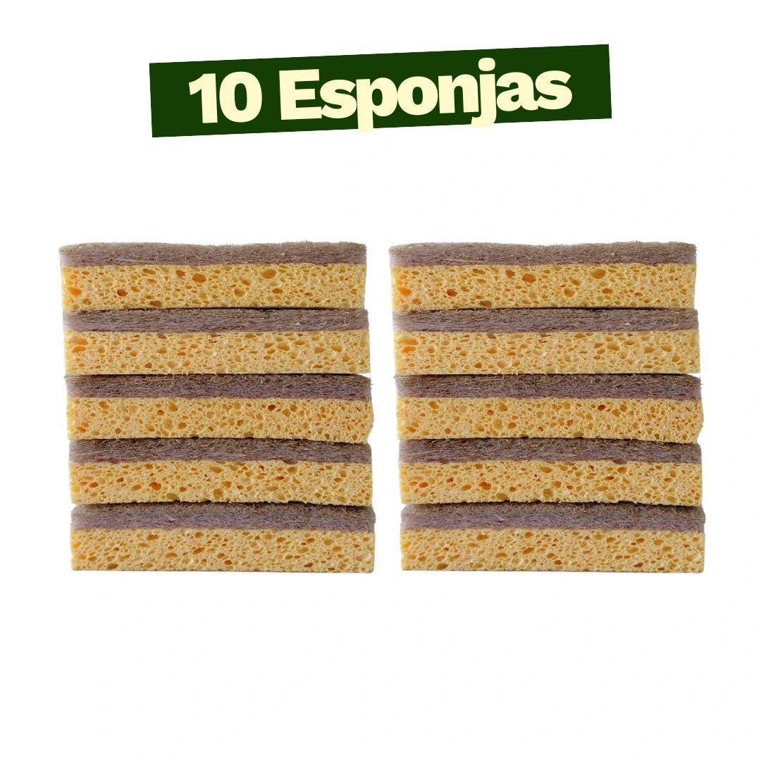 Kit Raiz Eco - 10 Esponjas Biodegradáveis - Direct Ofertas